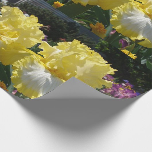 Iris iris bloemen Geel Witte bloemperen Cadeaupapier (Hoek)