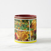 Iris "Iris Pride" (Combo Mok) ー ー マ グ コ カ  Mok (Midden)