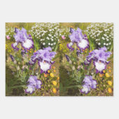 Iris Iriser Paarse Flower Floral Lavender Inpakpapier Vel (Voorkant 3)