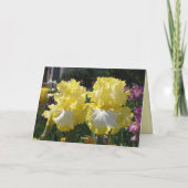 Iris irises floral Flowers Yellow Beared Flower Kaart (Achterkant)