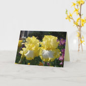 Iris irises floral Flowers Yellow Beared Flower Kaart (Gele Bloem)