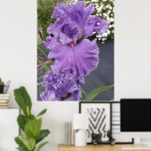 Iris Irises Paars Flower Floral Lavender Poster (Thuiskantoor)