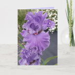 Iris Irisis Paars Flower Floral Birthday Kaart<br><div class="desc">Iris Irises Paarse bloem Kaart. Ontworpen uit een van mijn originele foto's in de bloemtuin en mijn originele schrijfwerk,  geniet van!</div>