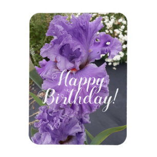 Iris Irisis Paars Flower Floral Birthday Kaart Magneet