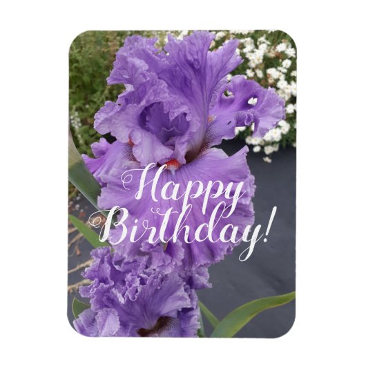 Iris Irisis Paars Flower Floral Birthday Kaart Magneet (Verticaal)