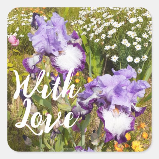 Iris Irissen Paarse Bloem Bloemen Lavendel Liefde Vierkante Sticker (Voorkant)