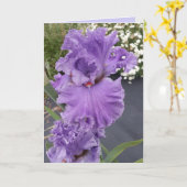 Iris Irissen Paarse Bloem Bloemige Verjaardagskaar Kaart (Gele Bloem)