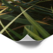 Iris, Japanese gardens Poster (Hoek)