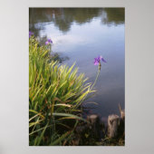 Iris, Japanese gardens Poster (Voorkant)