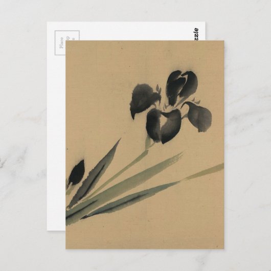 Iris Japans Ukiyo-e Art Briefkaart (Voorkant / Achterkant)