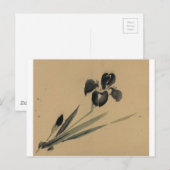 Iris Japans Ukiyo-e Art Briefkaart (Voorkant / Achterkant)