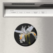 Iris Japonica in de kijker Magneet (Insitu (Vaatwasser))