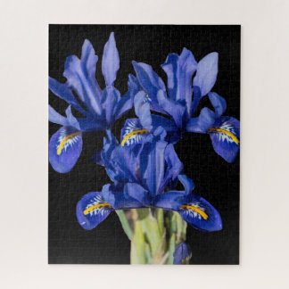 Iris Jigsaw Puzzel