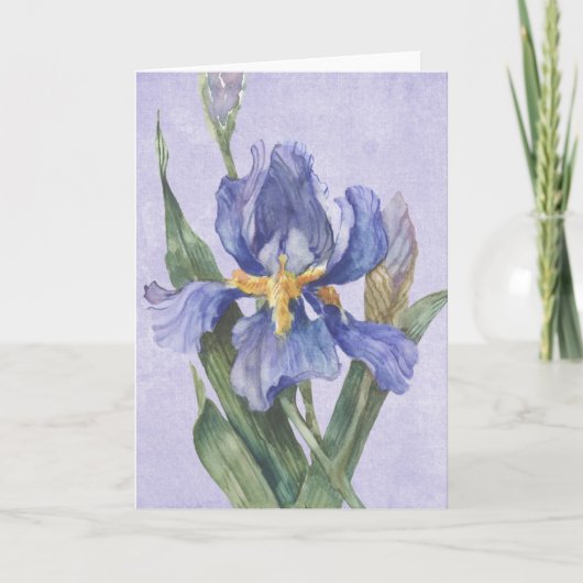 Iris Kaart (Voorkant)