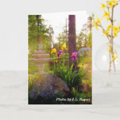 Iris Kaart (Gele Bloem)