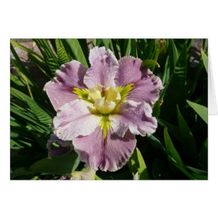 IRIS-KAART - DUREL LATECOMER - Blanco kaart