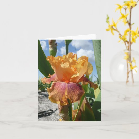 IRIS KAART - FLESSENRAKET - Blank Note Kaart (Gele Bloem)