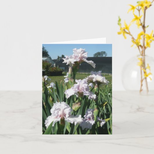 IRIS-KAART - STAWBERRY FROSTING - Kaart voor blanc (Gele Bloem)