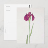 Iris Kaempferi door William Dykes Briefkaart (Voorkant / Achterkant)