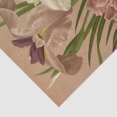 Iris Kaempferi. Var door Arentina Hendrica Arendse Tissuepapier (Detail)