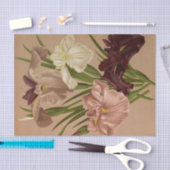 Iris Kaempferi. Var door Arentina Hendrica Arendse Tissuepapier (Craft)