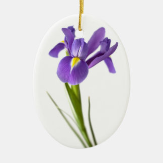 Iris Keramisch Ornament