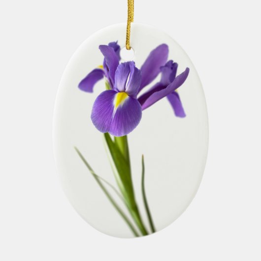 Iris Keramisch Ornament (Voorkant)