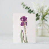 Iris Kochii door William Dykes Briefkaart (Staand voorkant)