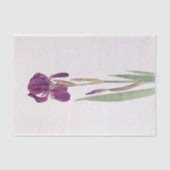 Iris Kochii door William Dykes Tissuepapier (Voorkant)