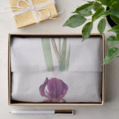 Iris Kochii door William Dykes Tissuepapier (Geschenk)