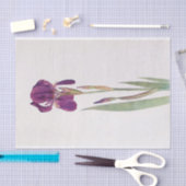 Iris Kochii door William Dykes Tissuepapier (Craft)