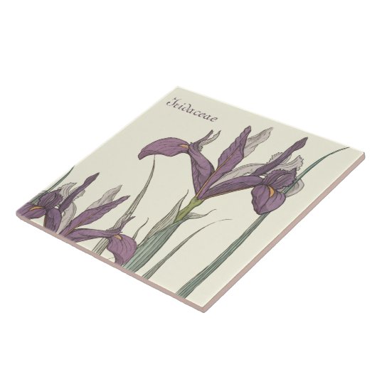 Iris Lace Tegeltje (Zijkant)