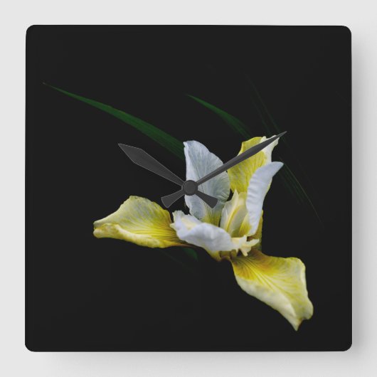 Iris licht vierkante klok (Voorkant)