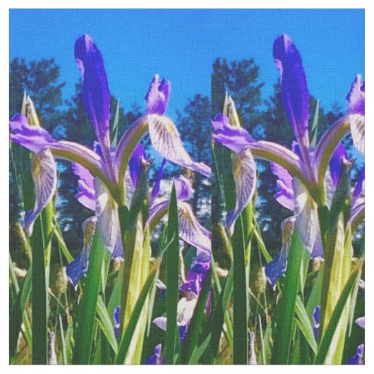 Iris Light Stof (Close Up)