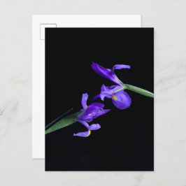 Iris Lovers Briefkaart