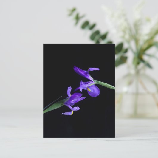 Iris Lovers Briefkaart (Staand voorkant)
