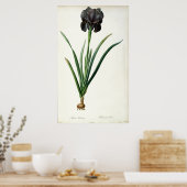 Iris Luxiana uit "Les Liliacees", 1805 Poster (Keuken)
