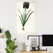 Iris Luxiana uit "Les Liliacees", 1805 Poster (Thuiskantoor)