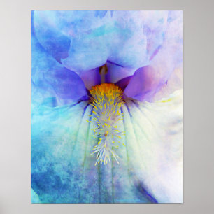 Iris Macro Flower Photographic Wall Art Poster