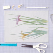 Iris Macrosiphon van William Dykes Tissuepapier (Craft)
