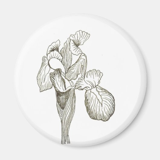 Iris Magneet (Voorkant)
