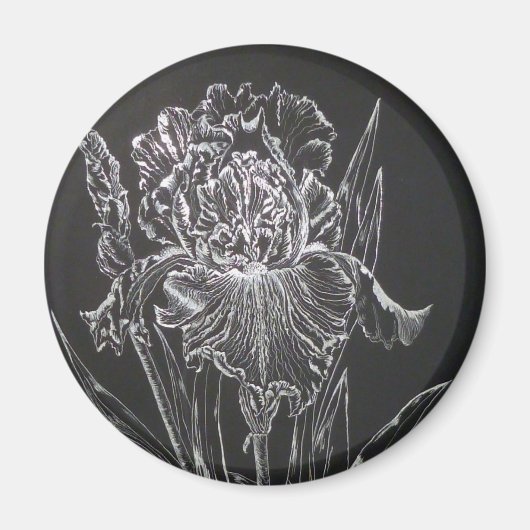 Iris Magneet (Voorkant)