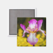 Iris Magneet (Voorkant / Achterkant)