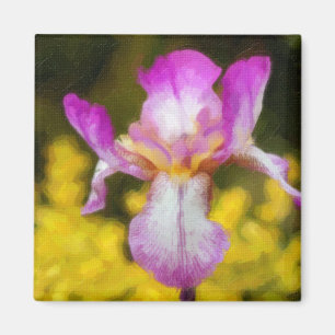 Iris Magneet