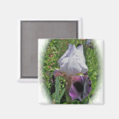 Iris Magnet (Voorkant / Achterkant)