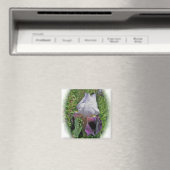 Iris Magnet (Insitu (Vaatwasser))