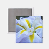 Iris Magnet (Voorkant / Achterkant)