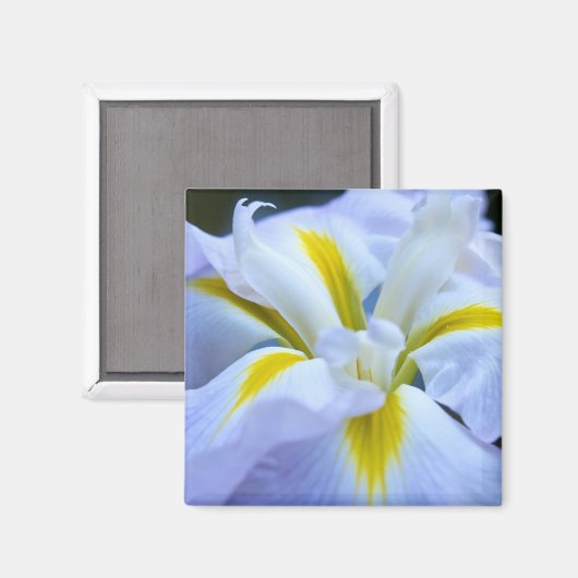 Iris Magnet (Voorkant / Achterkant)