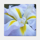 Iris Magnet (Voorkant)