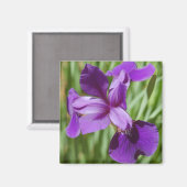 Iris Magnet (Voorkant / Achterkant)